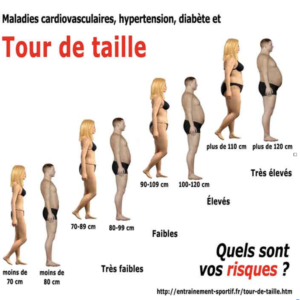 Maladies cardiovasculaires, hypertension, diabète et Tour de taille