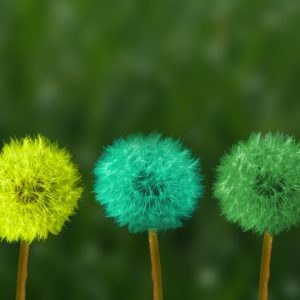 Alimentation Intuitive