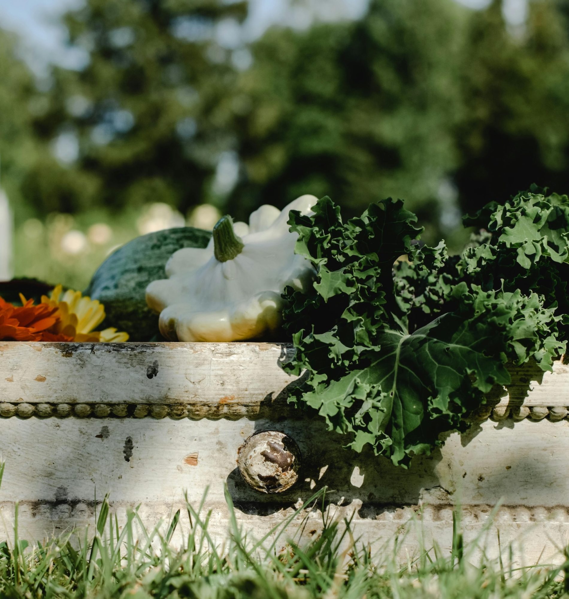 diet-provence